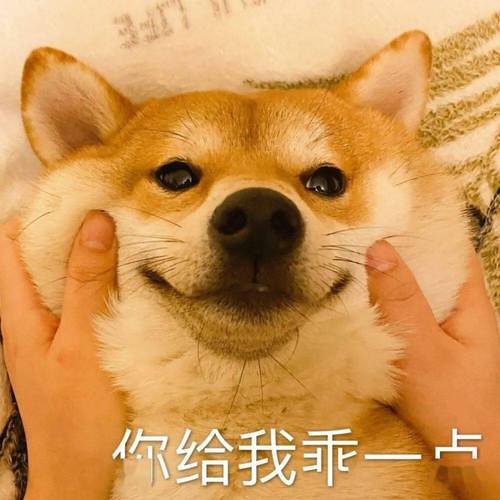你给我乖