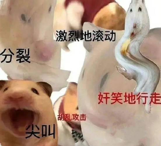 激烈地滚动 分裂 好笑地行走 胡乱攻击 尖叫