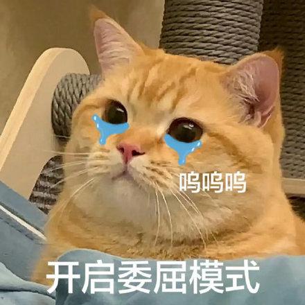 鸣鸣鸣 开启委屈模式