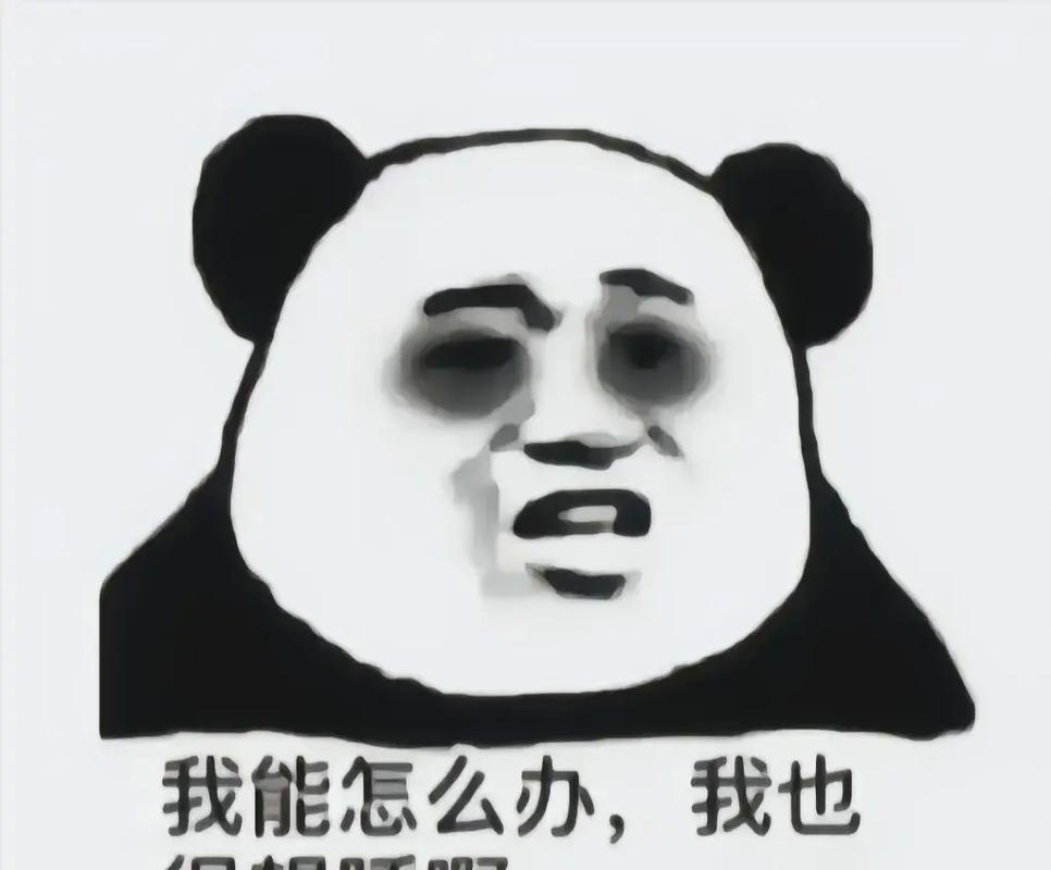 我能怎么办，我也