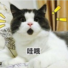 哇哦！