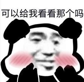 可以给我看看那个吗