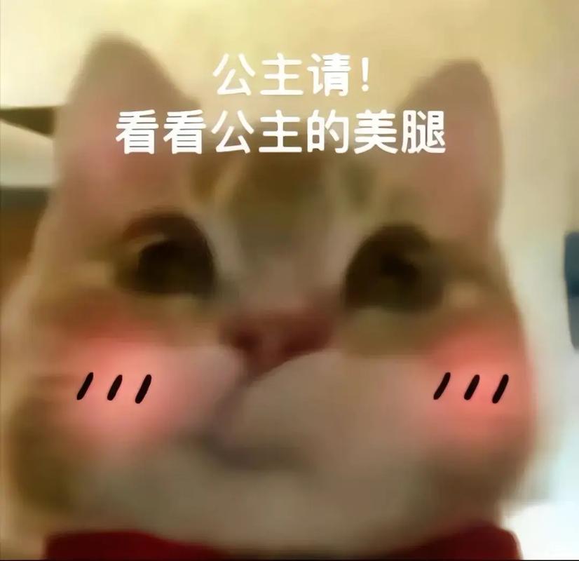 公主请！ 看看公主的美腿