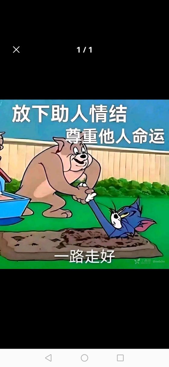 放下助人情结 尊重他人命运 路走好