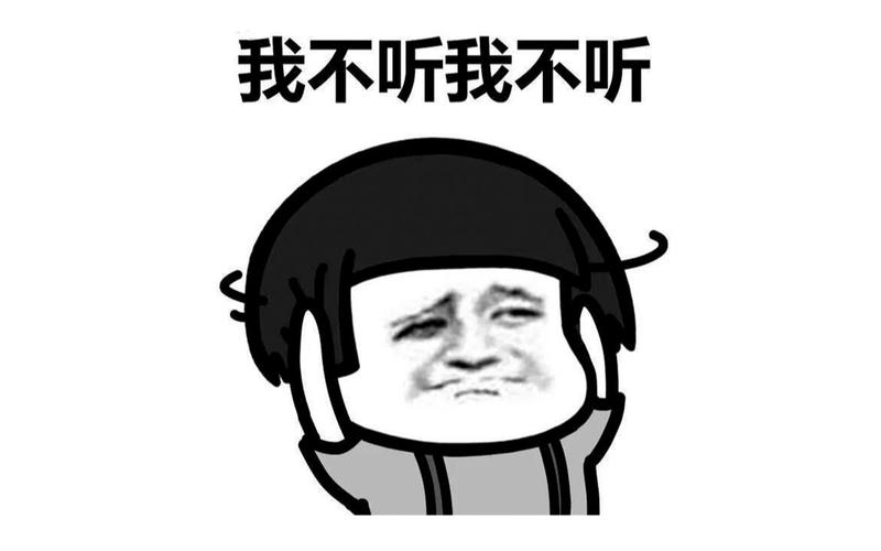 我不听我不听