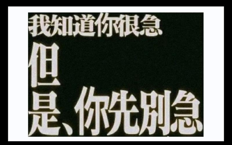 我知道你很急 但是、你先别急