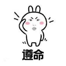 ” 遵命
