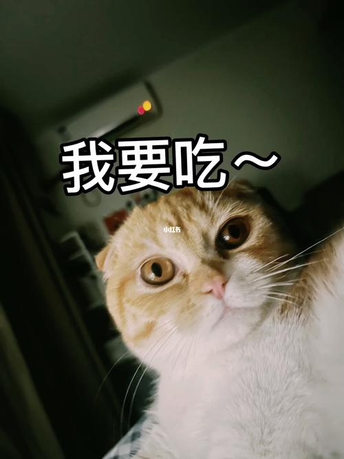 我要吃