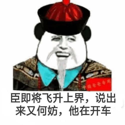 臣即将飞升上界，说出 来又何妨，他在开车