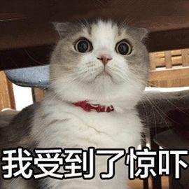 我受到了惊吓