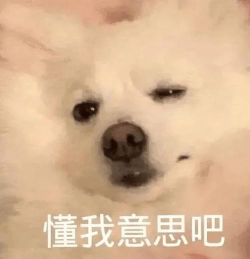 懂我意思吧