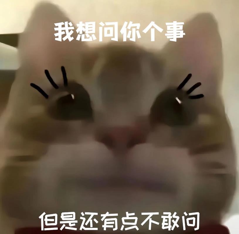 我想问你个事 但是还有点不敢问