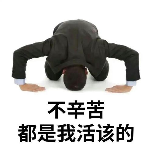 不辛苦 都是我活该的