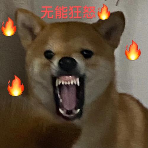 无能狂怒