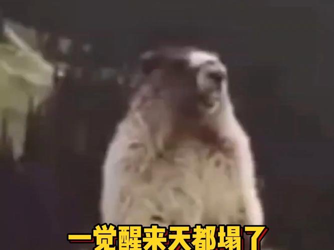 一觉醒来天都塌了