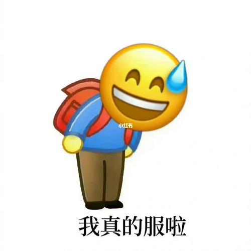 我真的服啦