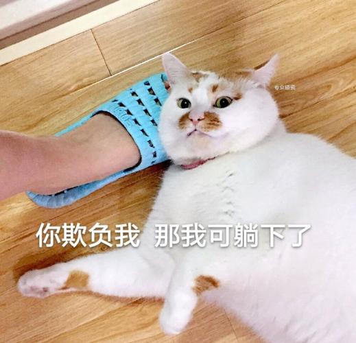 你欺负我那我可躺下了