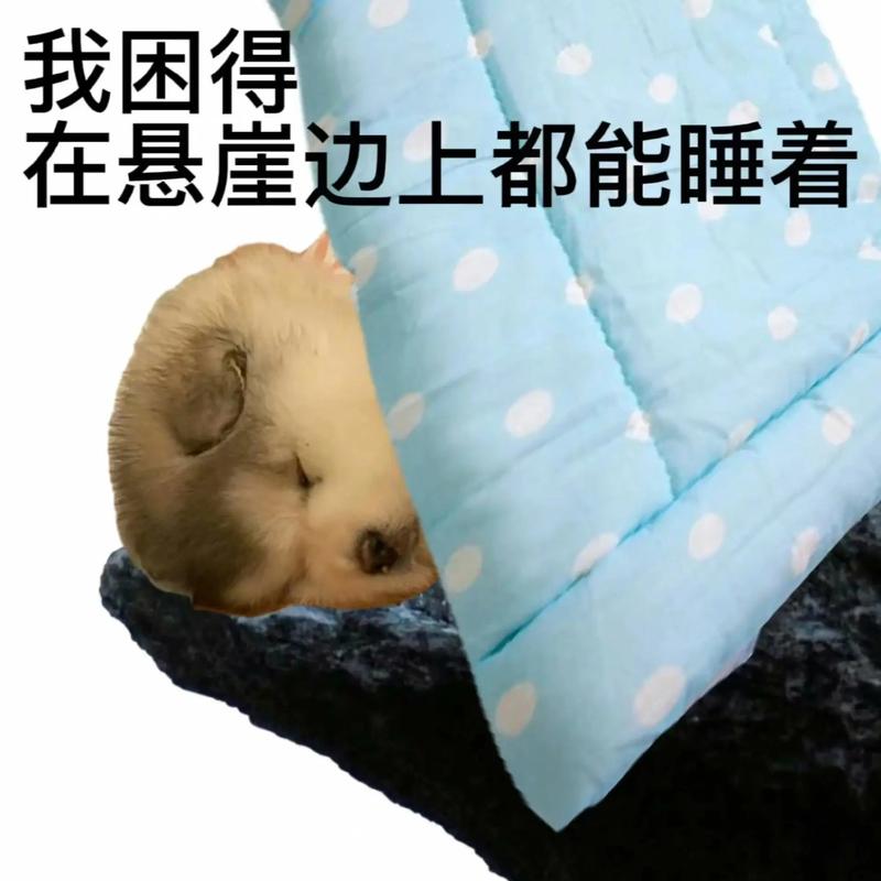 我困得 在悬崖边上都能睡着