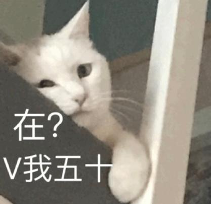 在？ V我五十