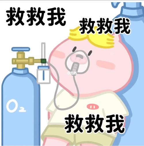 救救我 救救我 救救我