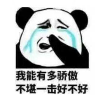 我能有多骄傲 不堪一击好不好