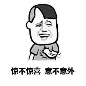 惊不惊喜意不意外
