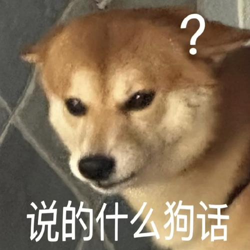 说的什么狗话