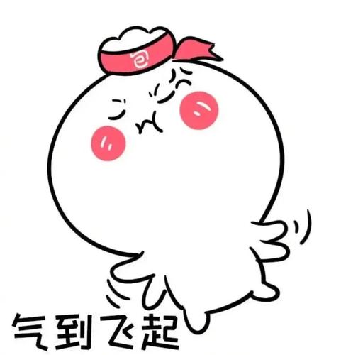 气到飞起
