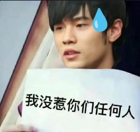 我没惹你们任何人