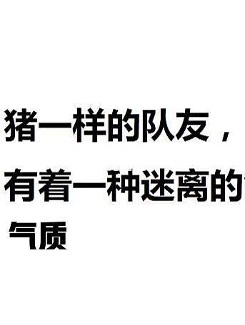 猪一样的队友 有着一种迷离的 气质