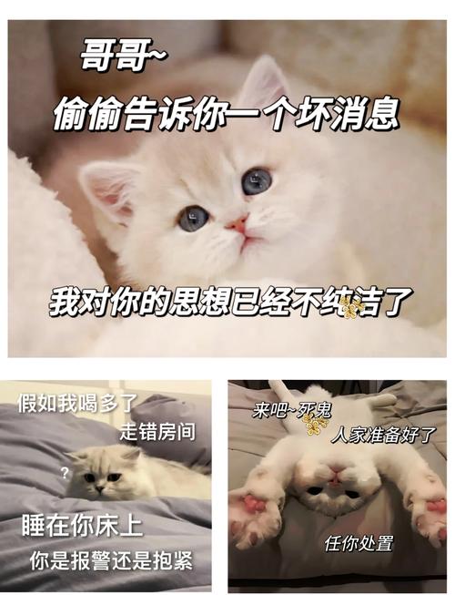 哥哥~ 偷偷告诉你一个坏消息 我对你的思想已经不纯洁了 假如我喝多了 来吧~死鬼 走错房间 人家准备好了 睡在你床上 任你处置 你是报警还是抱紧
