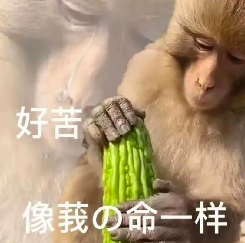 好苦 像我の命一样