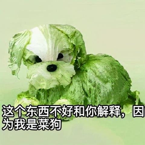 这个东西不好和你解释，因 为我是菜狗