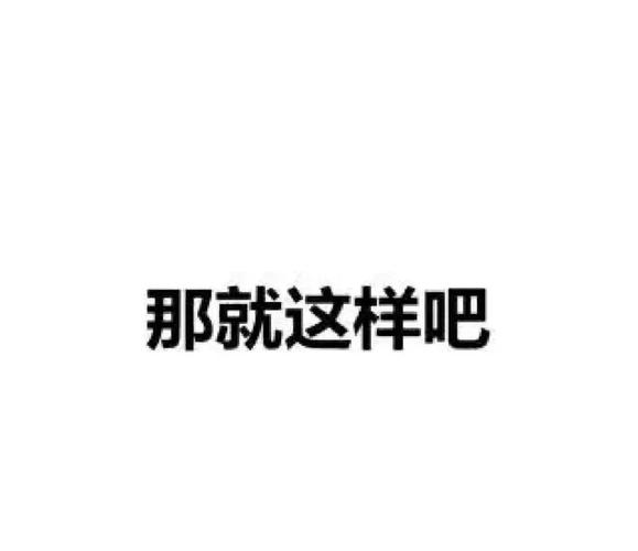 那就这样吧