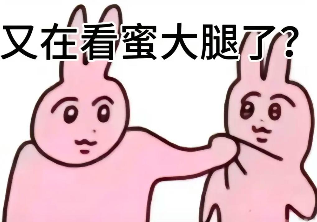 又在看蜜大腿了？