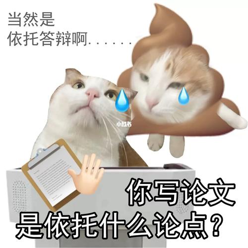 当然是 依托答辩啊  你写论文 是依托什么论点？