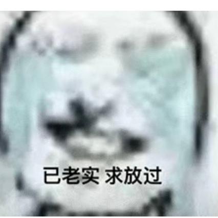 已老实求放过