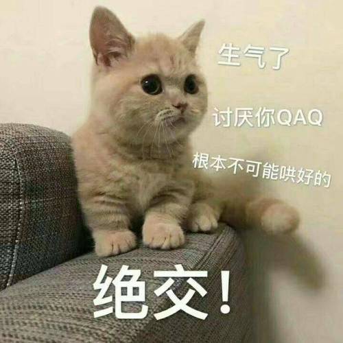 生气了 讨厌你QAQ 根本不可能哄好的 绝交！