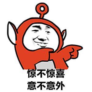 惊不惊喜 意不意外