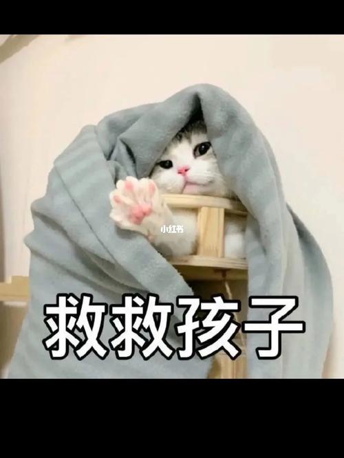 救救孩子