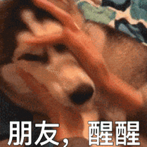 朋友 醒醒