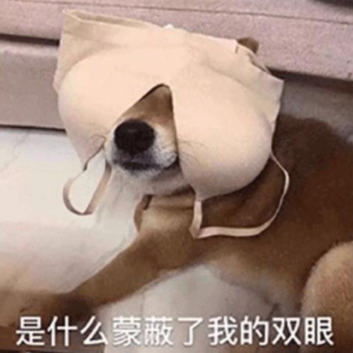 是什么蒙蔽了我的双眼