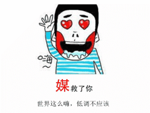 海 媒 救了你 世界这么嗨，低调不应该