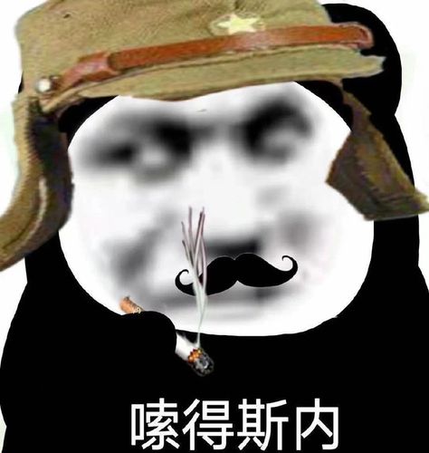 得斯内