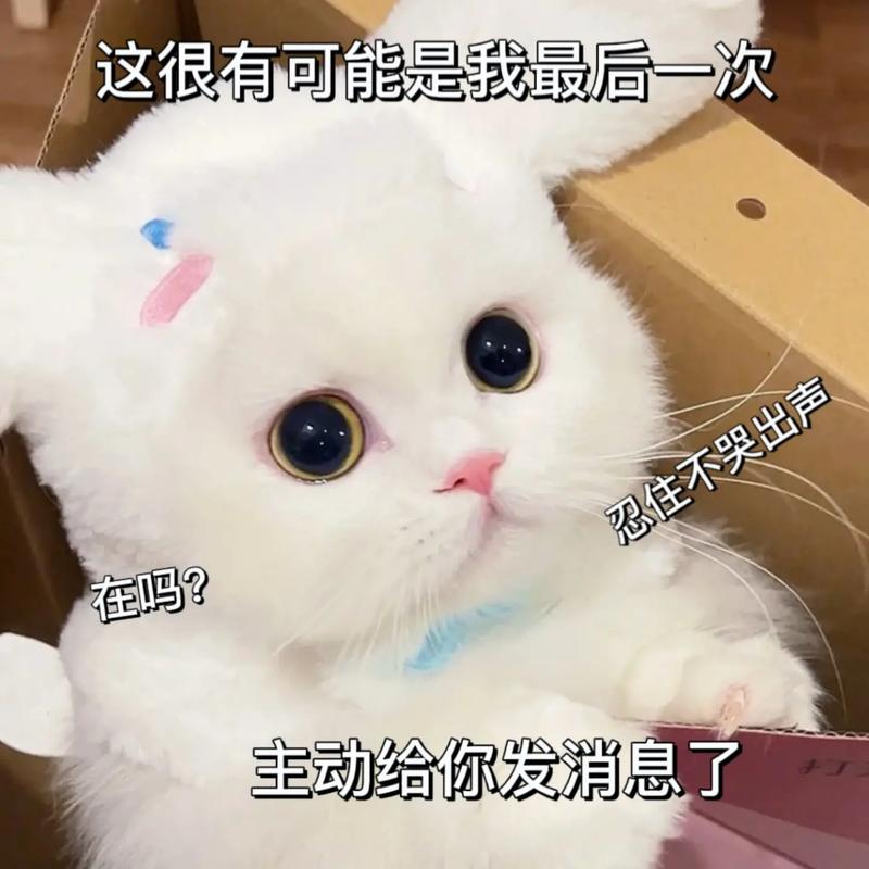 这很有可能是我最后一次 忍住不哭出声 在吗？ 主动给你发消息了
