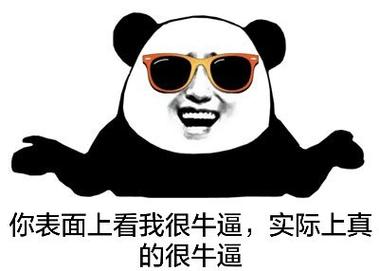 你表面上看我很牛逼，实际上真 的很牛逼