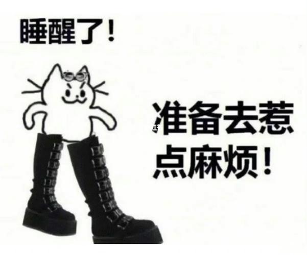 睡醒了！ 准备去惹 点麻烦！