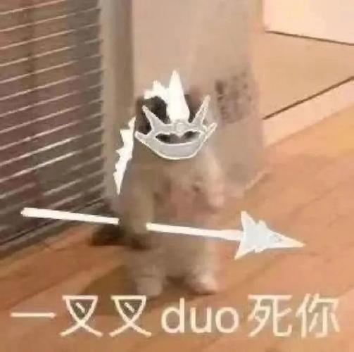 一又又duo死你