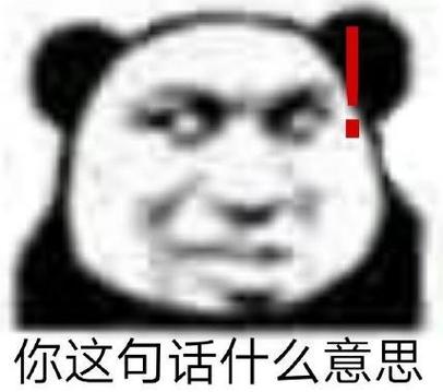 你这句话什么意思