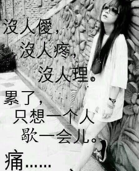 没人傻 没人疼， 没人理 累了， 只想一个人 歇一会儿 痛